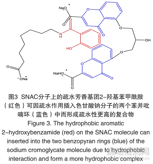 SNAC用于提高大分子藥物口服生物利用度的研究進(jìn)展