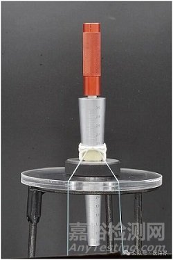 主流外科瓣標(biāo)注尺寸與實際尺寸的差異研究