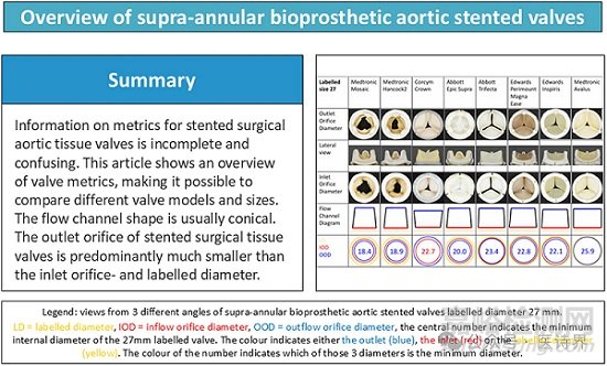 主流外科瓣標(biāo)注尺寸與實際尺寸的差異研究