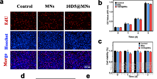 如何檢測(cè)水凝膠的生物相容性？