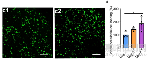 如何檢測(cè)水凝膠的生物相容性？