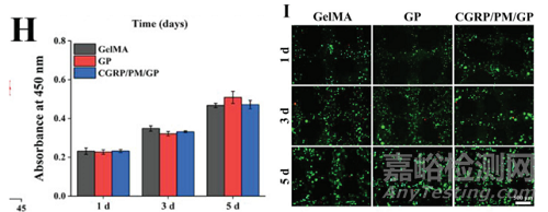 如何檢測(cè)水凝膠的生物相容性？
