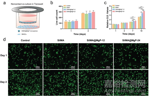 如何檢測(cè)水凝膠的生物相容性？