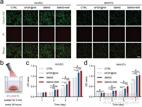 如何檢測(cè)水凝膠的生物相容性？