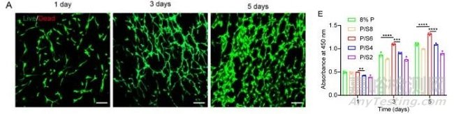 如何檢測(cè)水凝膠的生物相容性？
