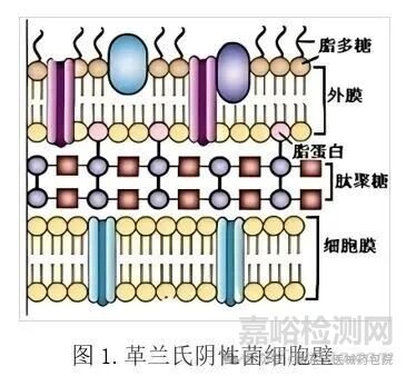 無菌醫(yī)療器械細菌內(nèi)毒素檢查技術(shù)