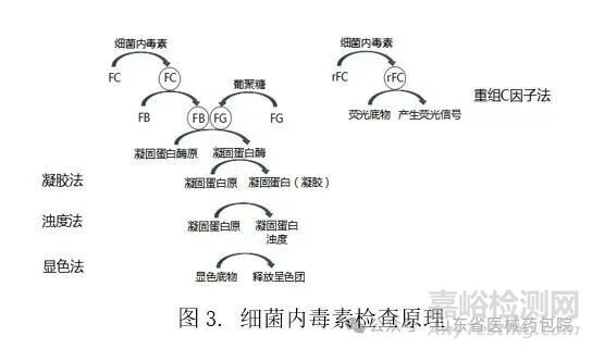 無菌醫(yī)療器械細菌內(nèi)毒素檢查技術(shù)