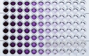 細胞增殖測定方法匯總