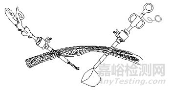 剛剛，《一次性使用內(nèi)窺鏡用活檢袋注冊審查 指導(dǎo)原則》正式發(fā)布（附全文）