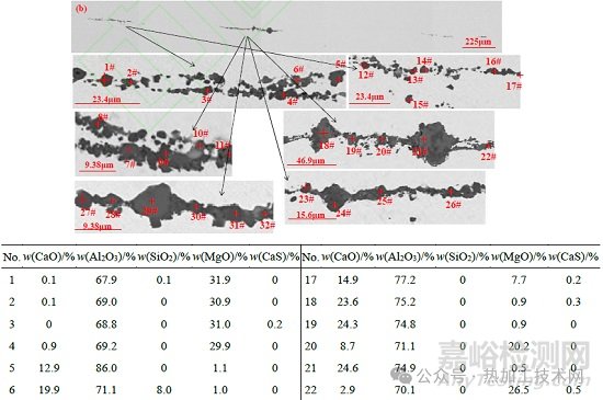 鋼中大尺寸夾雜物來源與控制