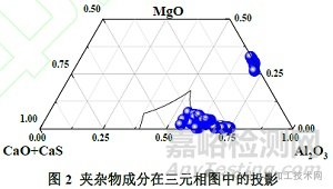 鋼中大尺寸夾雜物來源與控制