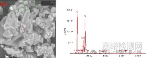鋼中大尺寸夾雜物來源與控制