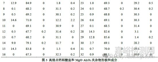 鋼中大尺寸夾雜物來源與控制