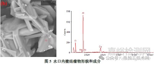 鋼中大尺寸夾雜物來源與控制