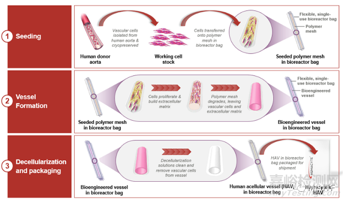 CTEV:全球最細(xì)冠脈搭橋人工血管,臨床研究顯示術(shù)后保持通暢