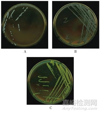 3家制藥企業(yè)臭氧消毒后潔凈車間微生物群落分析