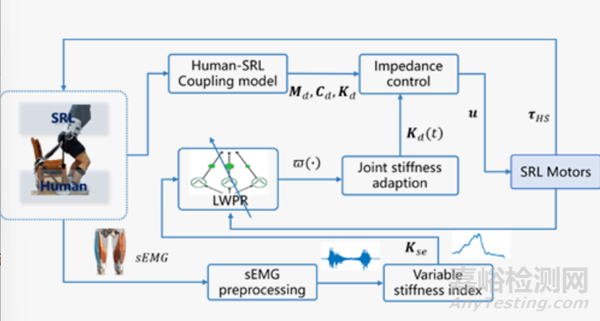 上下肢通用外肢體機器人及其系列研究成果最新進展