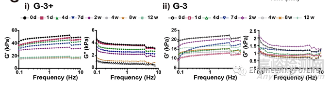 如何評價水凝膠的成軟骨能力？