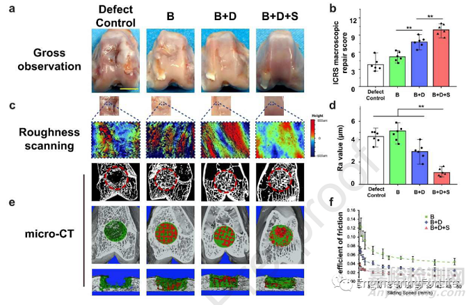 如何評價水凝膠的成軟骨能力？