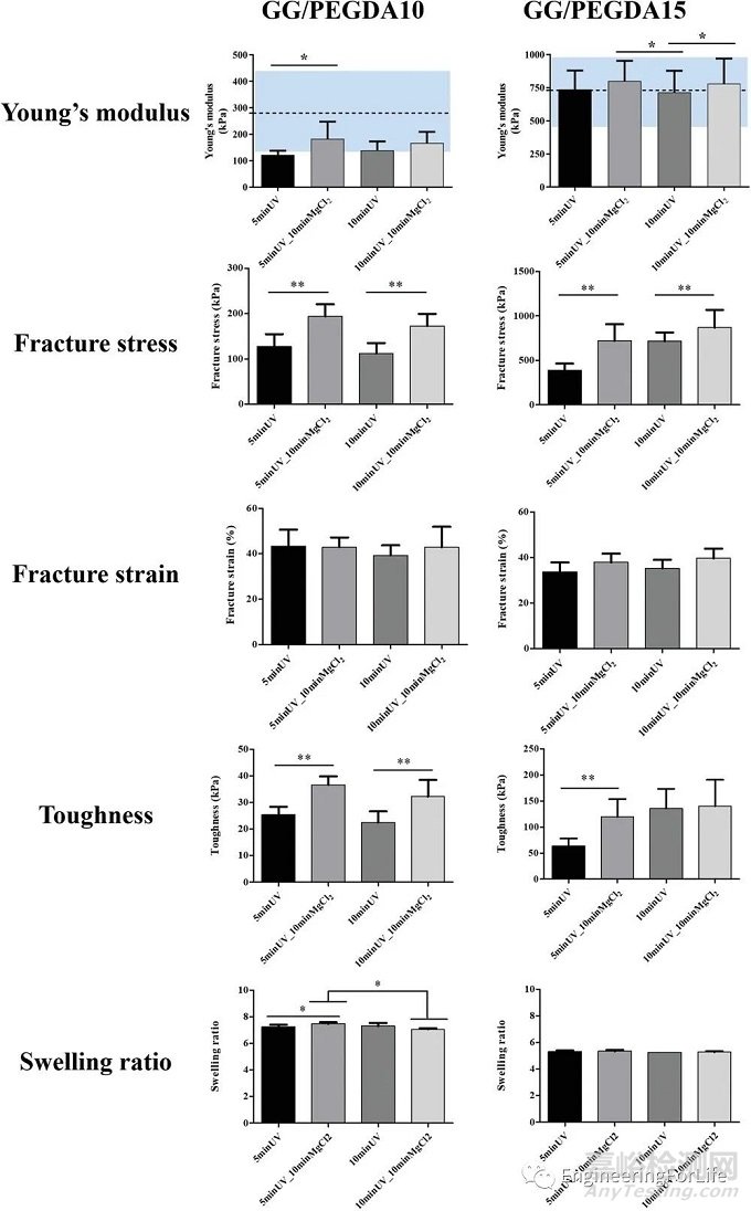 如何評價水凝膠的成軟骨能力？