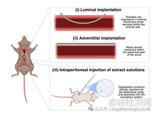 生物可降解支架，Bioactive Materials綜述！