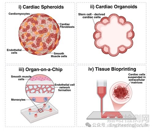 生物可降解支架，Bioactive Materials綜述！