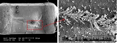 多層陶瓷電容器（MLCC）的失效模式與失效分析案例
