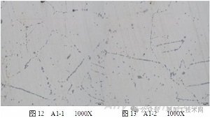 奧氏體不銹鋼鍛件高溫高載荷下斷裂機理分析