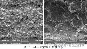 奧氏體不銹鋼鍛件高溫高載荷下斷裂機理分析