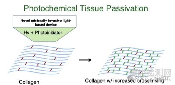 【創(chuàng)新醫(yī)械】PTP：光固化大隱靜脈減輕冠脈搭橋“橋血管”擴(kuò)張 ，大幅降低“橋血管”失敗率