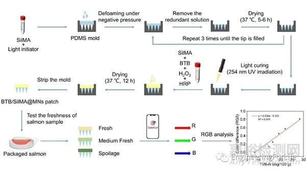 《Food Chemistry》：水凝膠微針用于檢測三文魚新鮮度