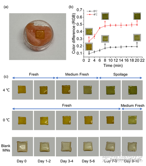 《Food Chemistry》：水凝膠微針用于檢測三文魚新鮮度