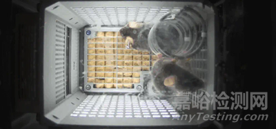 常見動物實驗操作步驟與注意事項