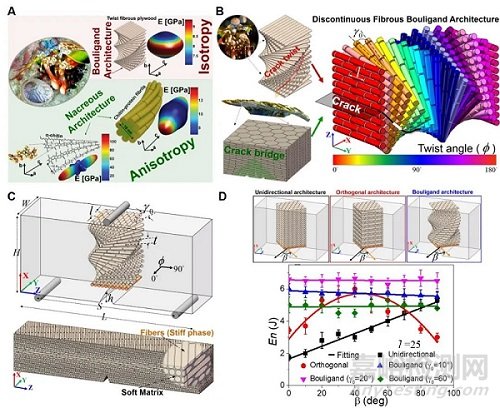 復(fù)合材料損傷斷裂分析的新方法——近場動(dòng)力學(xué)
