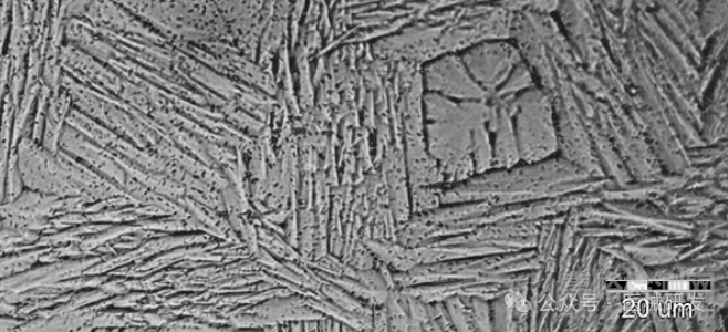 醫(yī)用鎳鈦產(chǎn)品研發(fā)應(yīng)重點關(guān)注的性能及相關(guān)要求