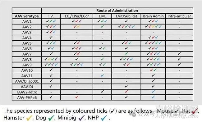 AAV基因治療產品相關動物種屬選擇的一些考量