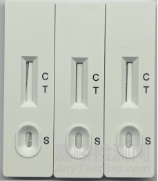 北京市膠體金體外診斷試劑生產質量管理規(guī)范檢查指南