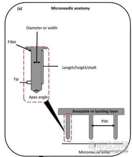微針貼片(MNs)的理化生物性能檢測方法