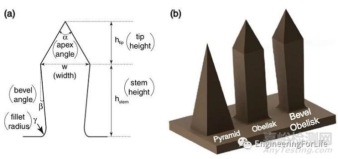 微針貼片(MNs)的理化生物性能檢測方法
