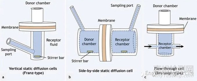 微針貼片(MNs)的理化生物性能檢測方法