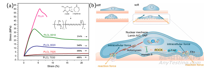 生物可降解聚酯材料的四大性能優(yōu)勢