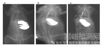 稀土元素鉭酸鹽及其固溶體的新型 X 射線造影劑研究進(jìn)展