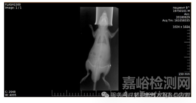 稀土元素鉭酸鹽及其固溶體的新型 X 射線造影劑研究進(jìn)展