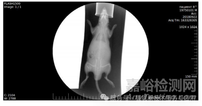 稀土元素鉭酸鹽及其固溶體的新型 X 射線造影劑研究進(jìn)展