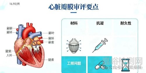醫(yī)療器械審評高頻問答匯總，涉及瓣中瓣、病毒滅活等核心要點
