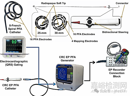 ElePulse：百多力的3D螺旋PFA消融導管，92%患者一年無房顫復發(fā)