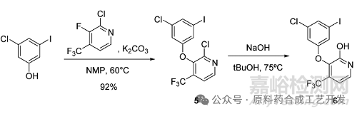 芳環(huán)鹵素變羥基:不同策略的OPRD案例匯總