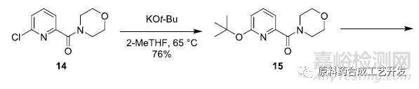 芳環(huán)鹵素變羥基:不同策略的OPRD案例匯總