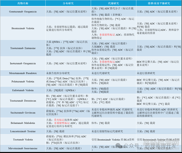ADC藥物非臨床研究策略及案例分享