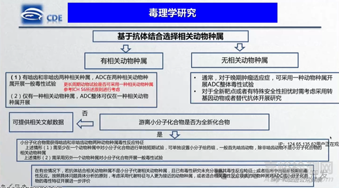 ADC藥物非臨床研究策略及案例分享